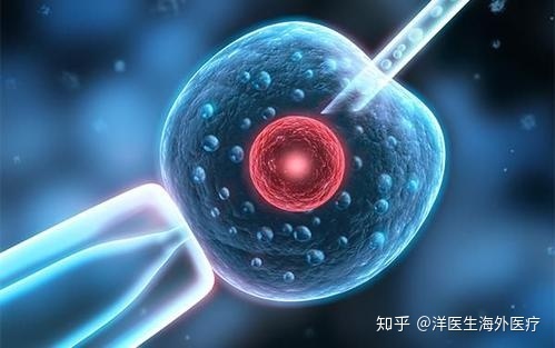 哪些妇科疾病不可以做赠卵试管婴儿？