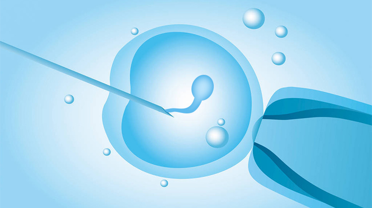 什么是最适合借卵做试管婴儿的内膜厚度？