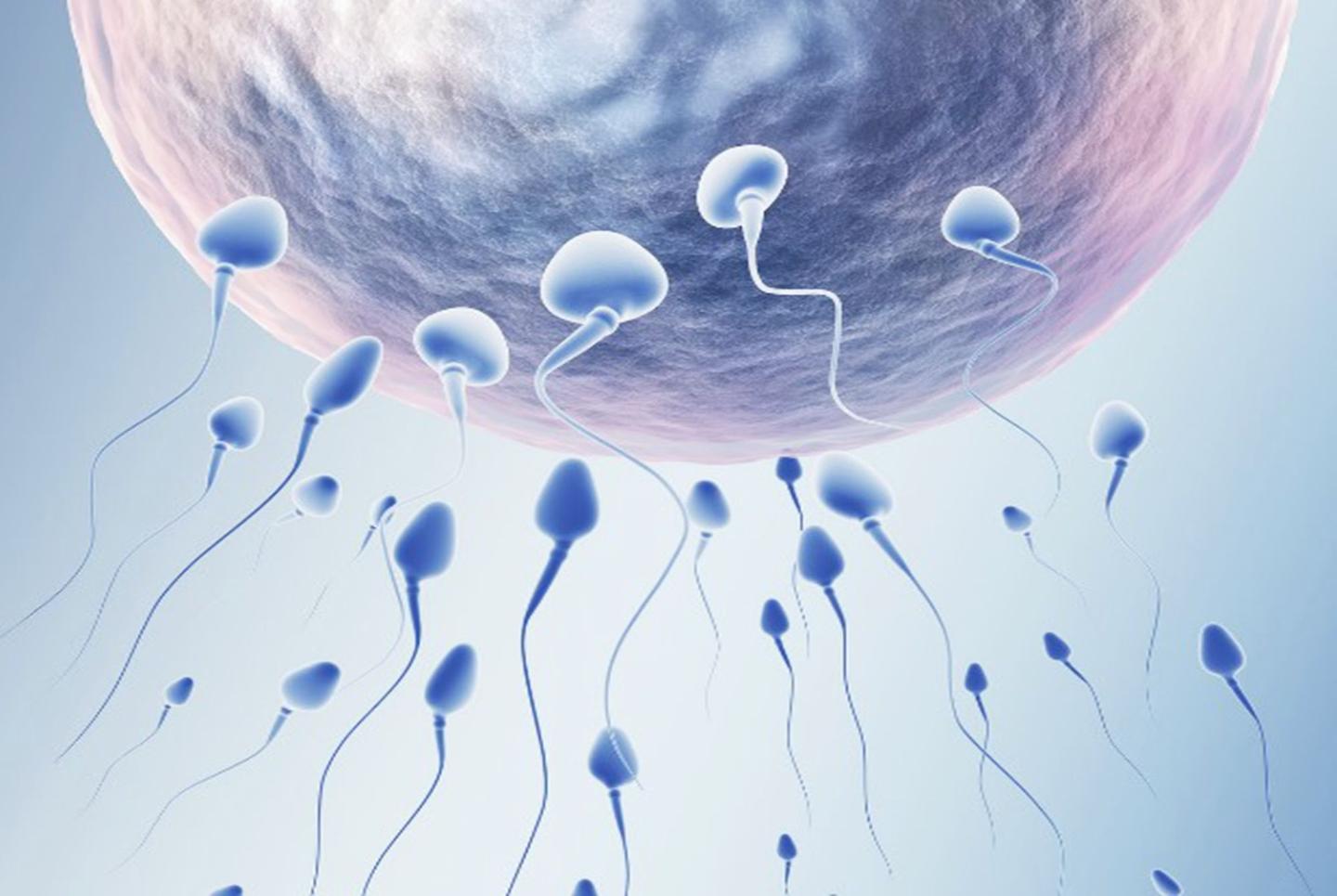 供卵试管婴儿促排卵治疗对乳腺会有影响吗