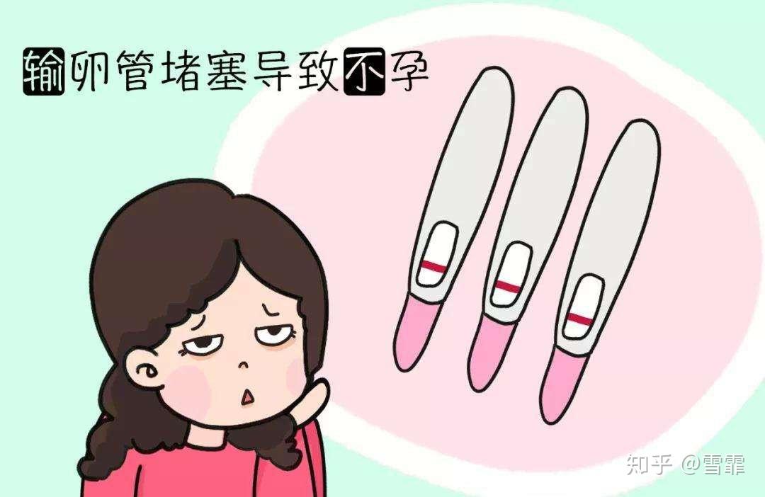 轻度弱精试管成功率高吗