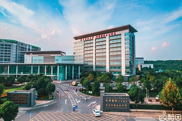 取卵后多久可以药物促排（试管促排一次取卵很多枚正常吗）