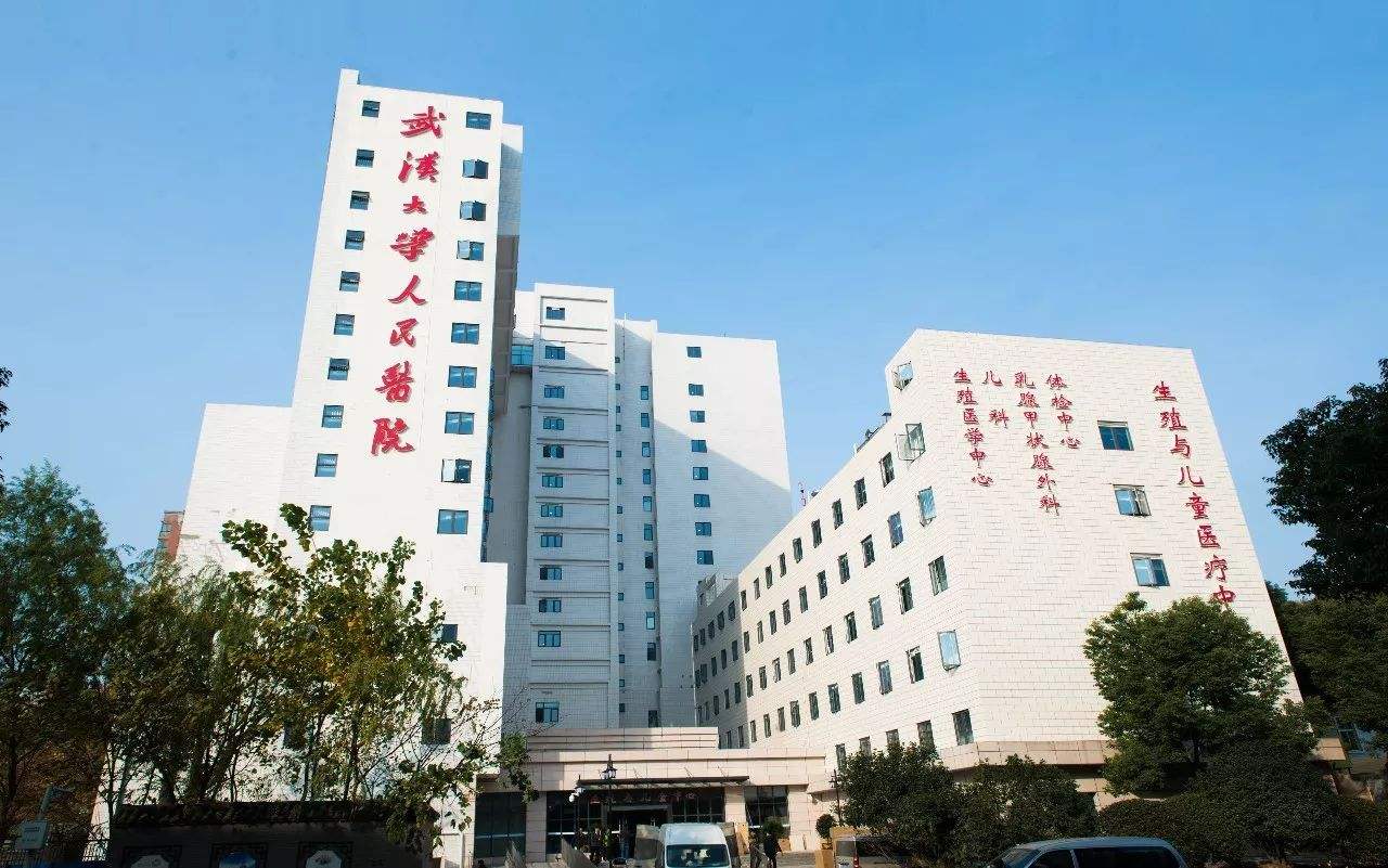 移植前子宫内膜形态是不是都是C型才能利于着床+